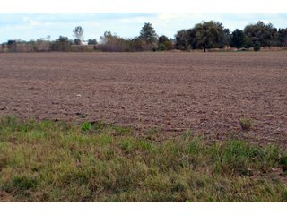 Property photo 45 - EHLE FARMS AUCTION - 118+/- ACRES IN 9 TRACTS IN ALLEN COUNTY, INDIANA